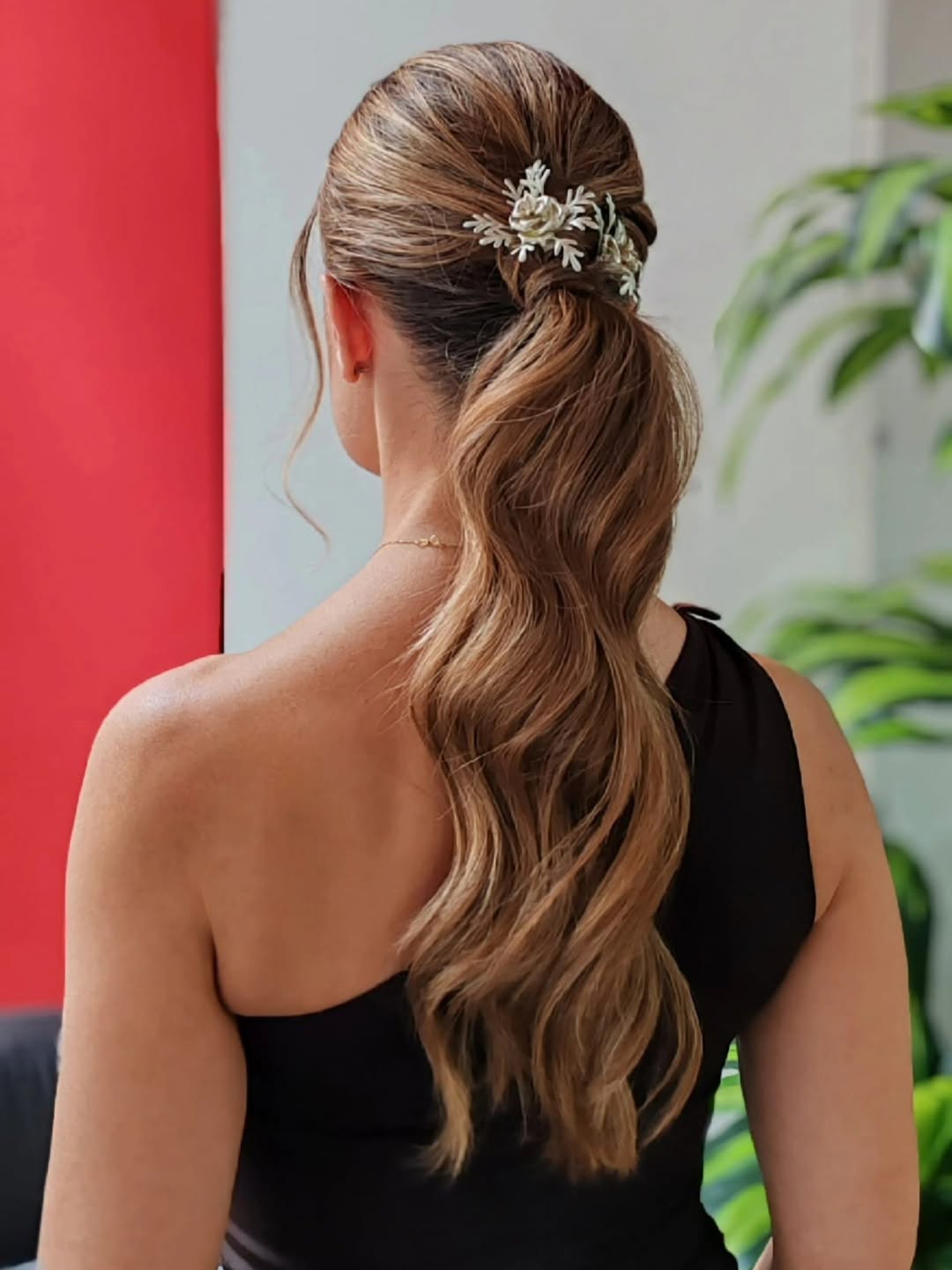 recogido peluqueria lambda zamora